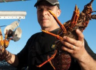 Dan Mccrae, Crayfish, New Zealand