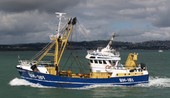 Globe Marine - Sasha Emiel BM181