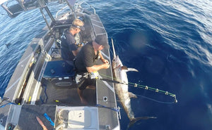 Using your Furuno to Catch Broadbill Swordfish