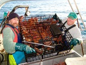 Trevor Burkart, Lobster, New Zealand