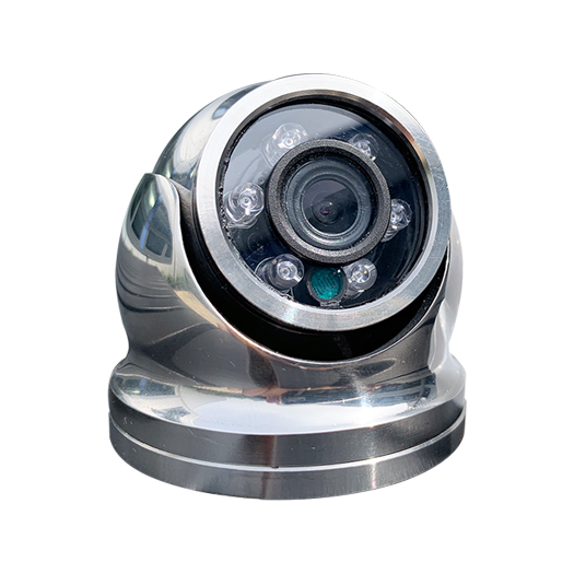 IRIS-S060 Mini-Dome Camera